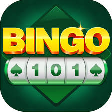 bingo 101