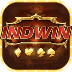 indwin logo