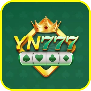 yn 777 logo